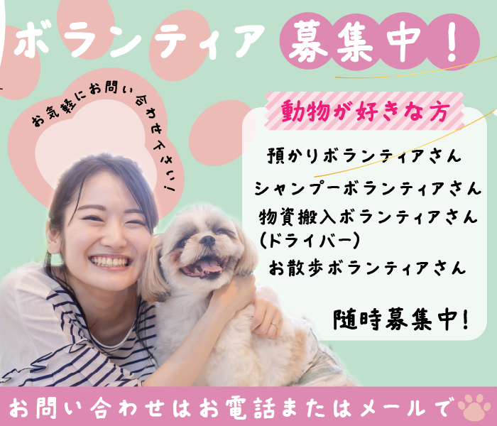 ボランティア募集