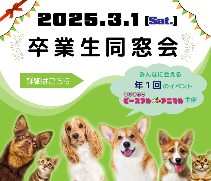 卒業生同窓会