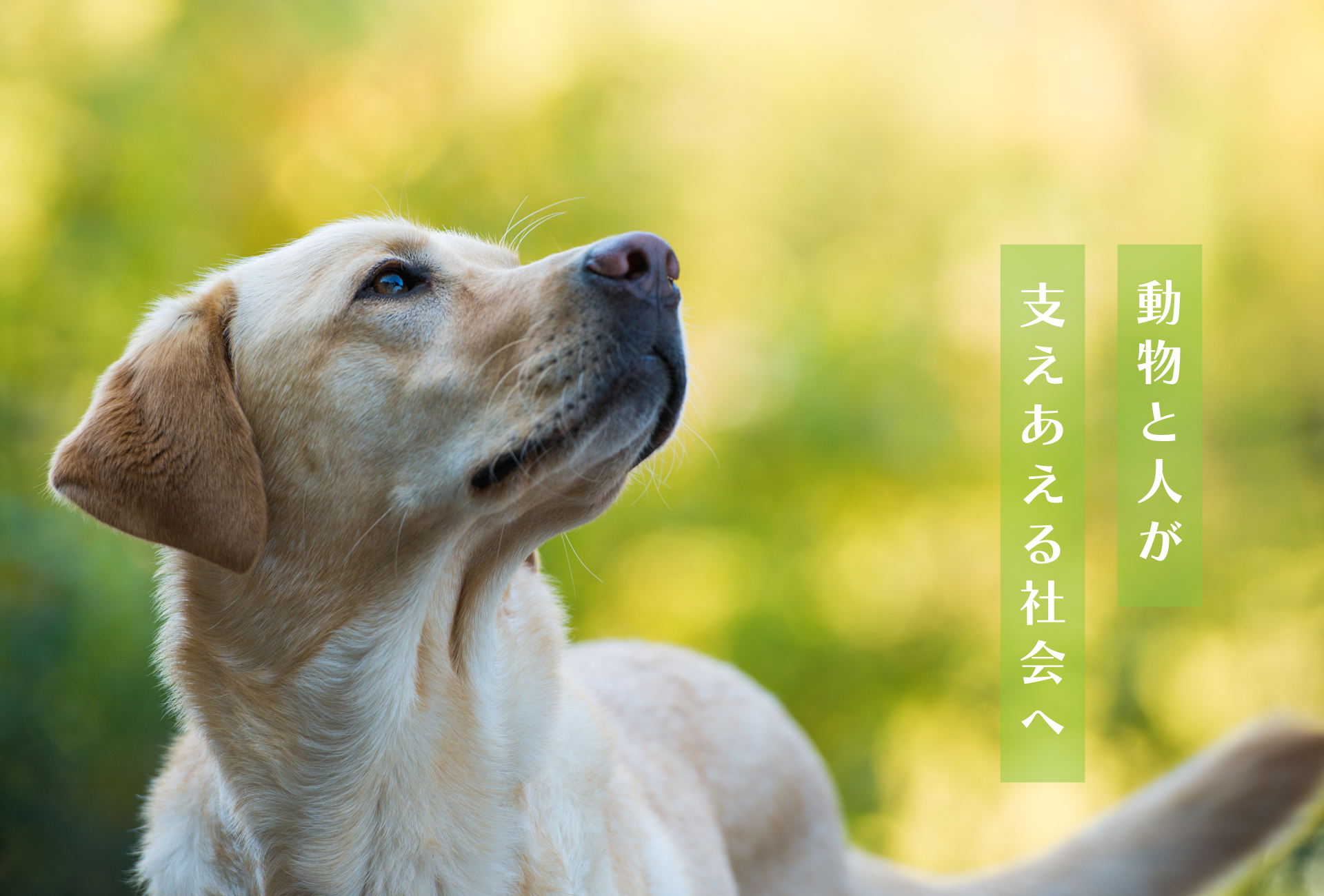 ヒーロー画像1