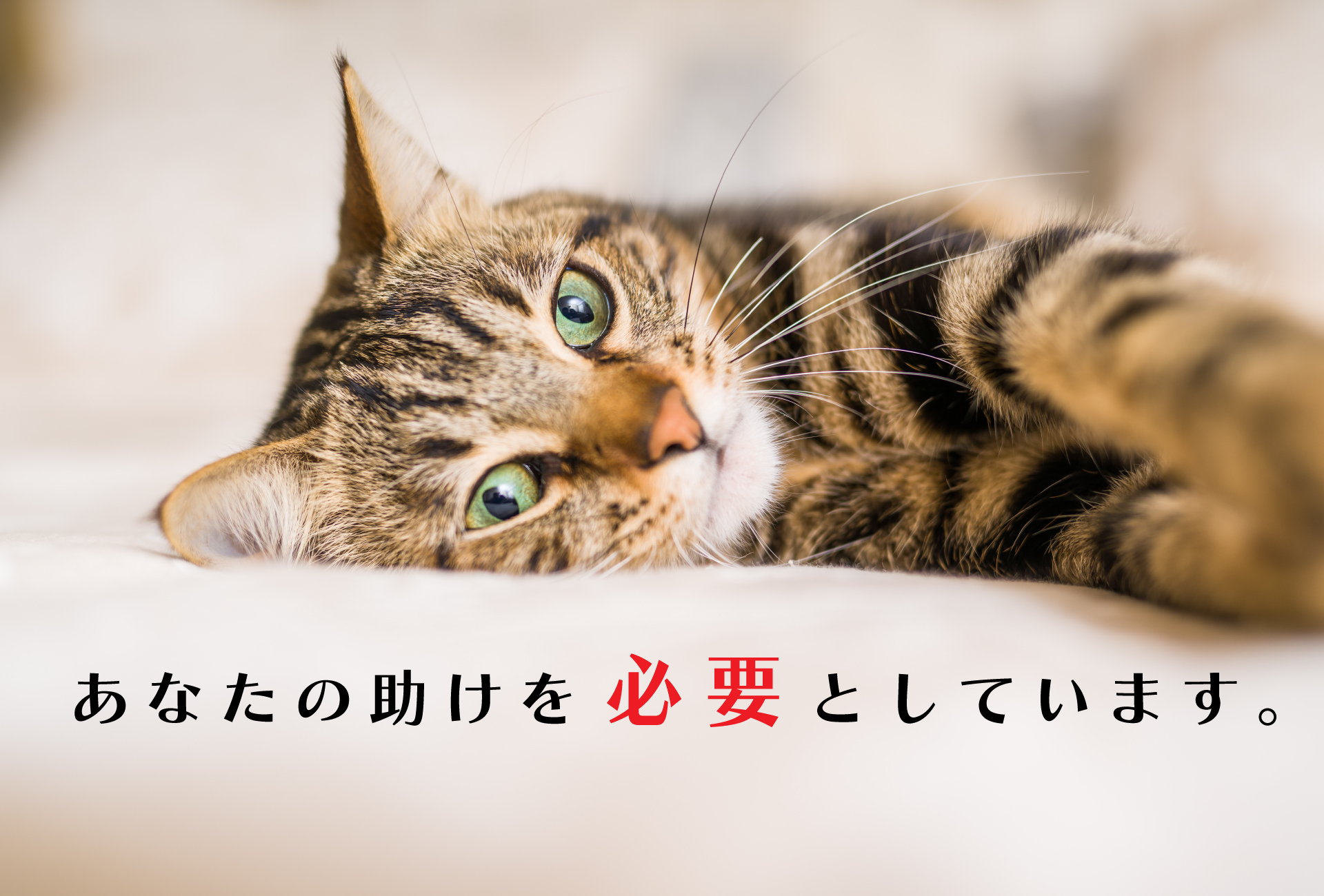 ヒーロー画像2