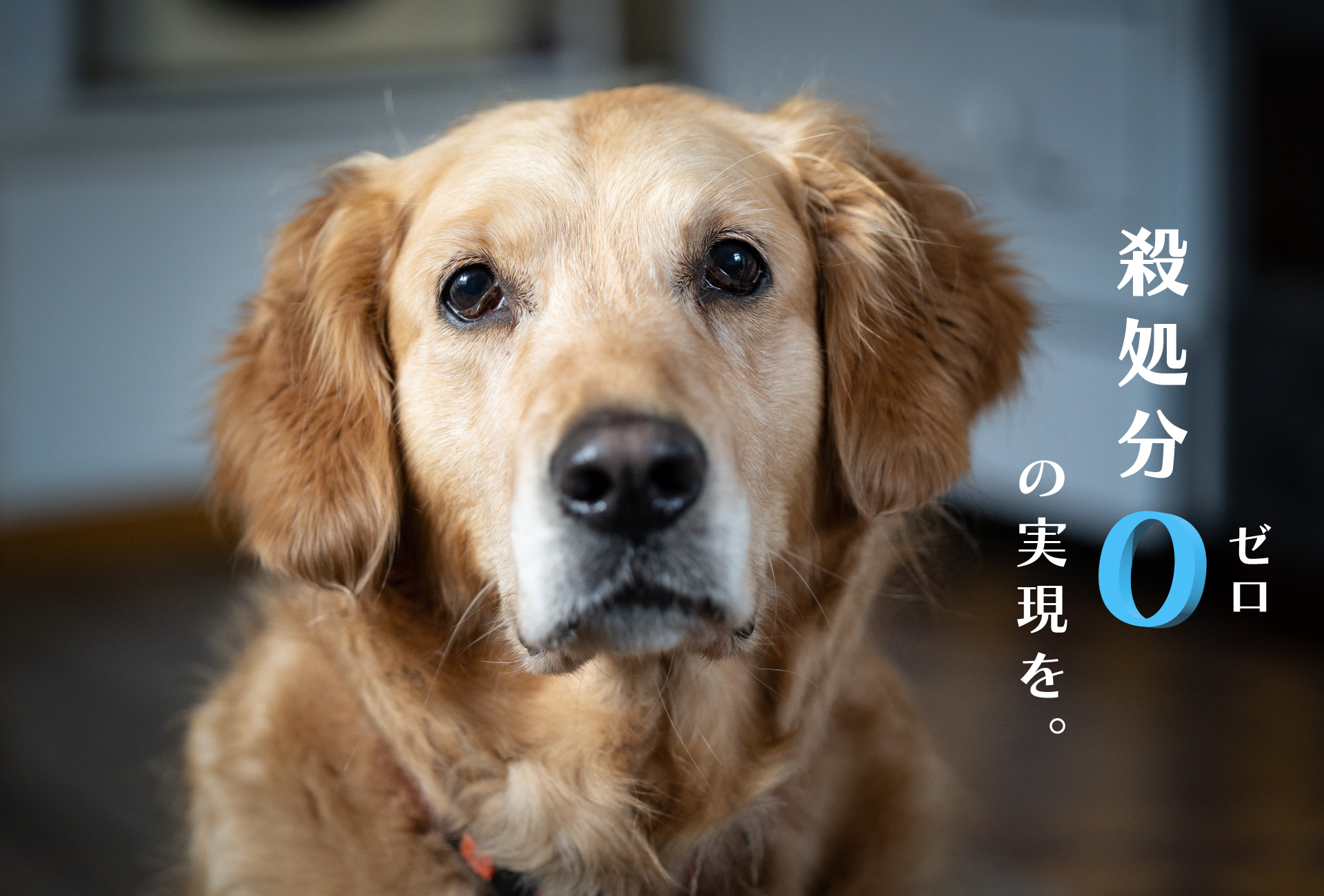 ヒーロー画像4