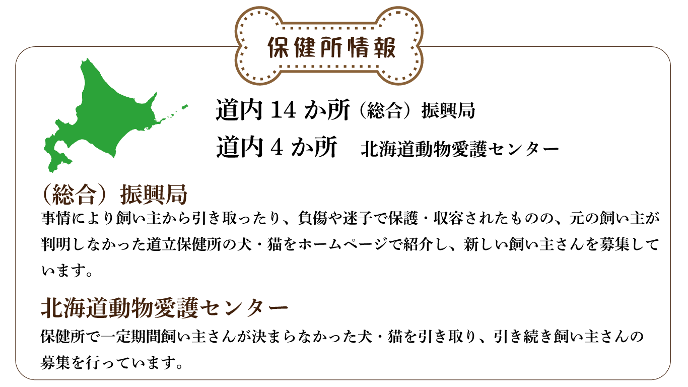 保健所情報