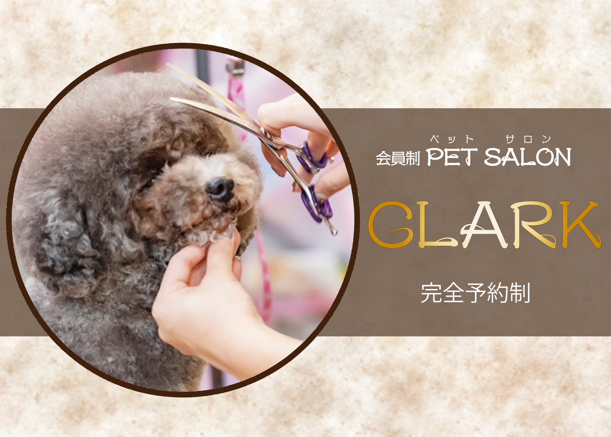 ペットサロンCLARK