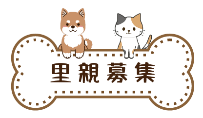 里親募集