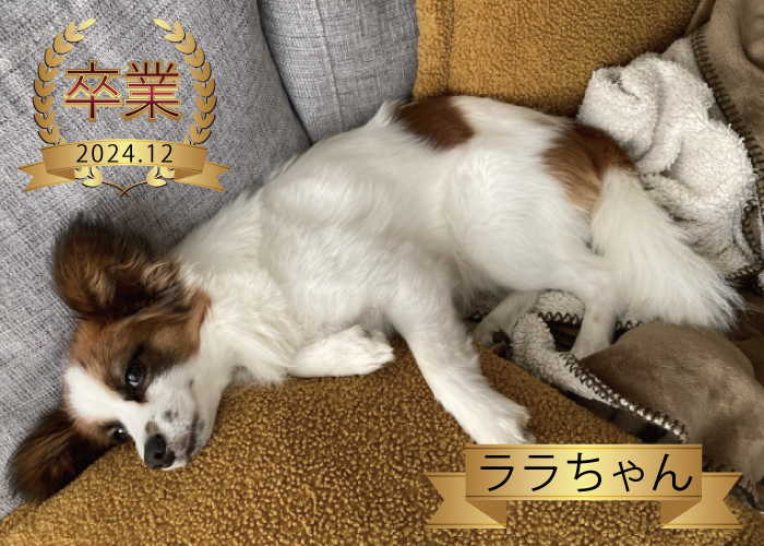 ララちゃん