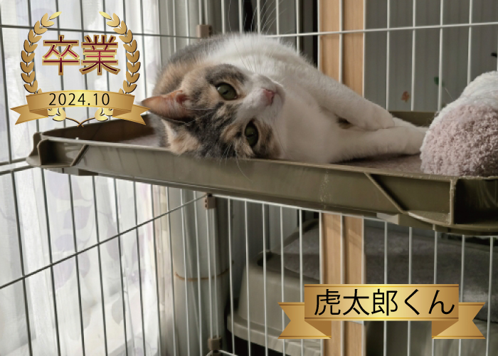 虎太郎くん