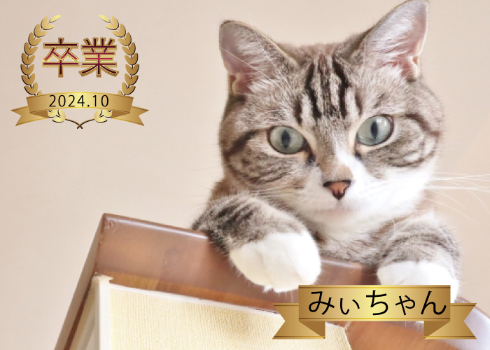みぃちゃん